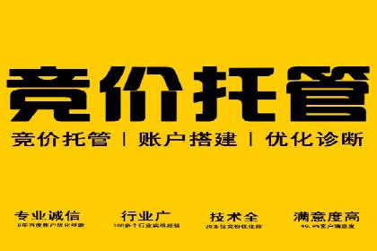 竞价托管sem的智慧：某大型企业网络营销的秘诀